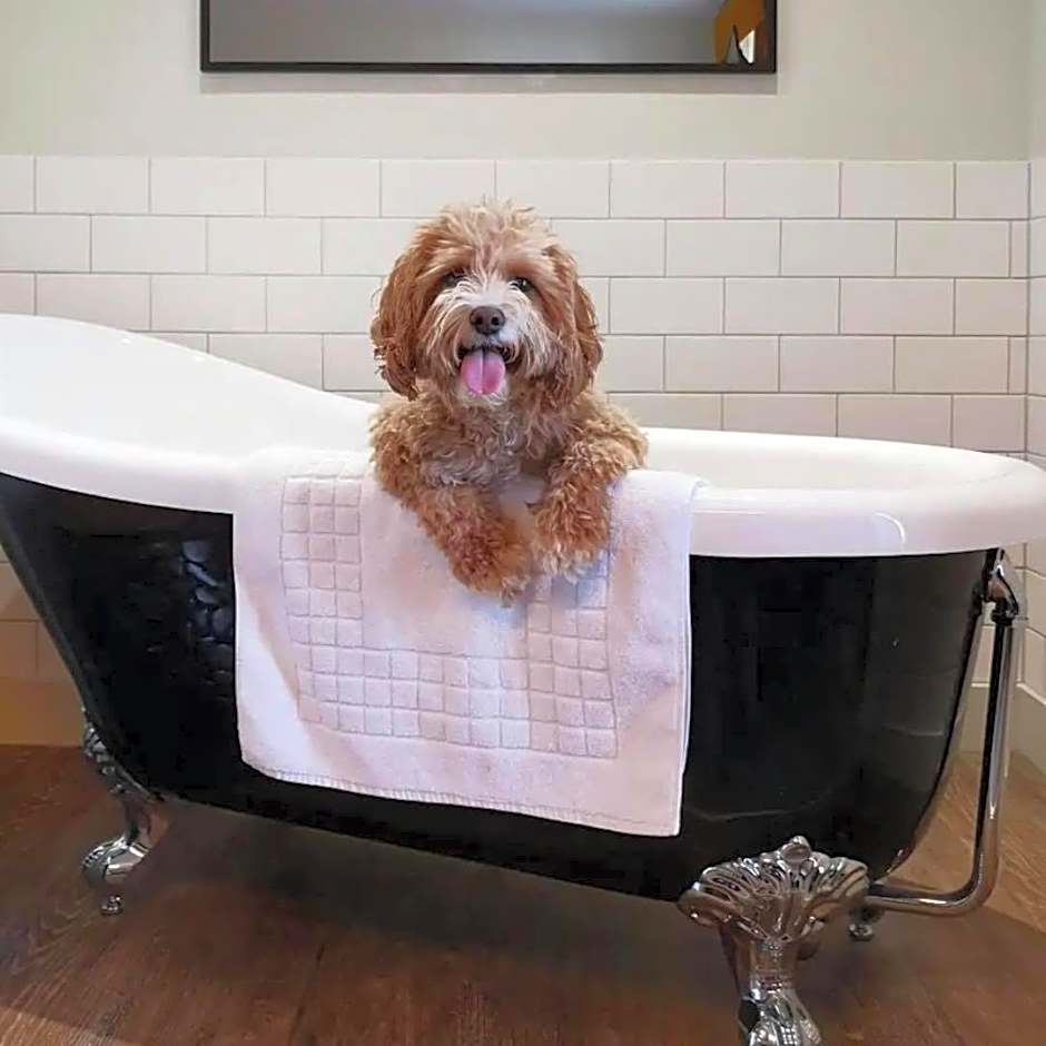 The Crown Inn at Benson