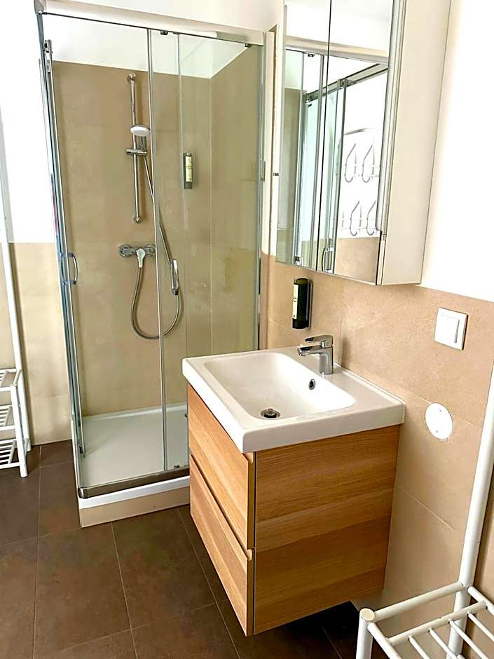 Jimmy's Apartments Dandelion