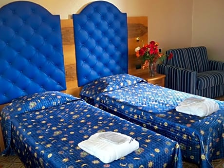 Double or Twin Economy