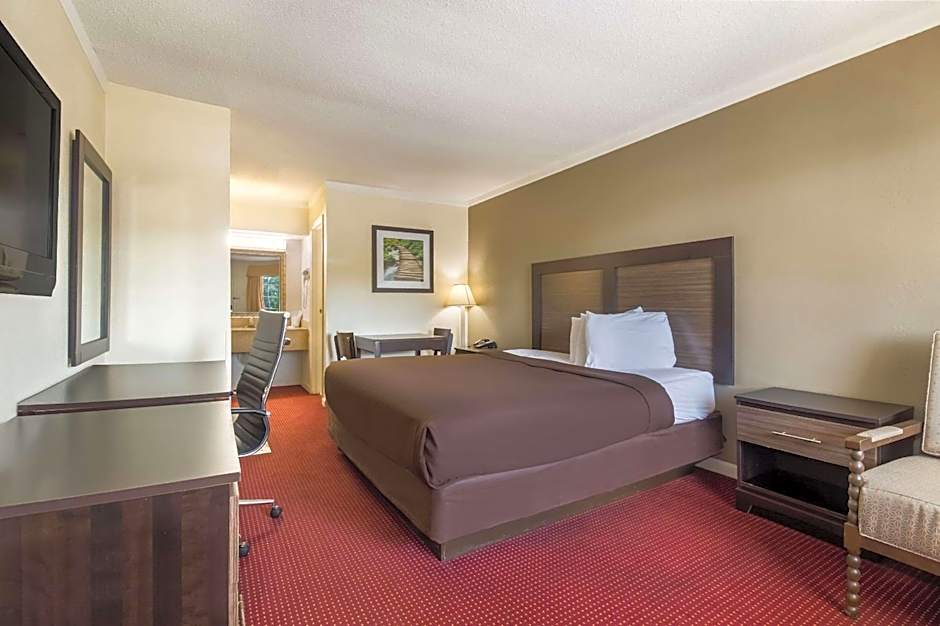 Suburban Studios Florence - Darlington