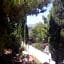 Villa il Glicine