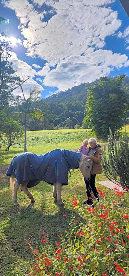 Nimbin waterfall retreat