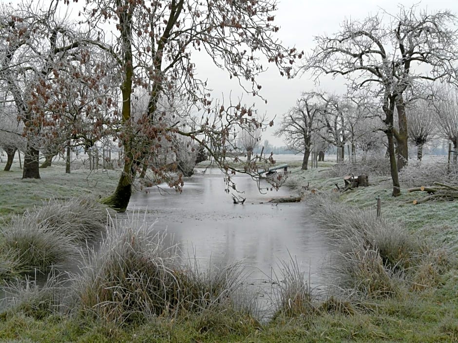 de Boomgaard Groene Hart