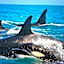Ningaloo Lodge Exmouth