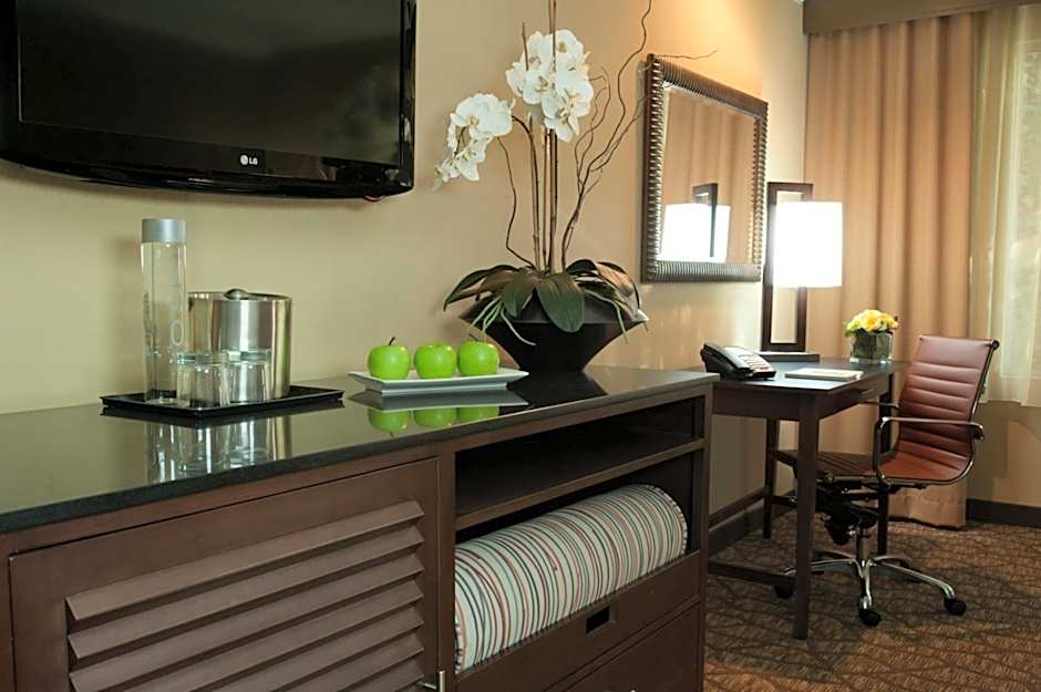 Airtel Plaza Hotel