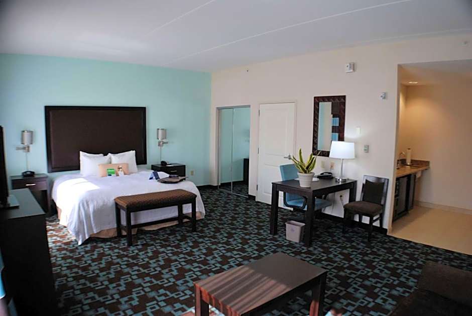 Hampton Inn By Hilton And Suites Nashville At Opryland