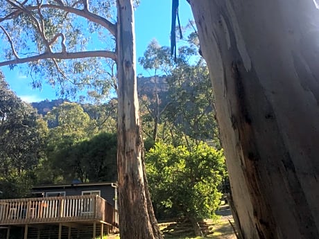 Grampians Nest