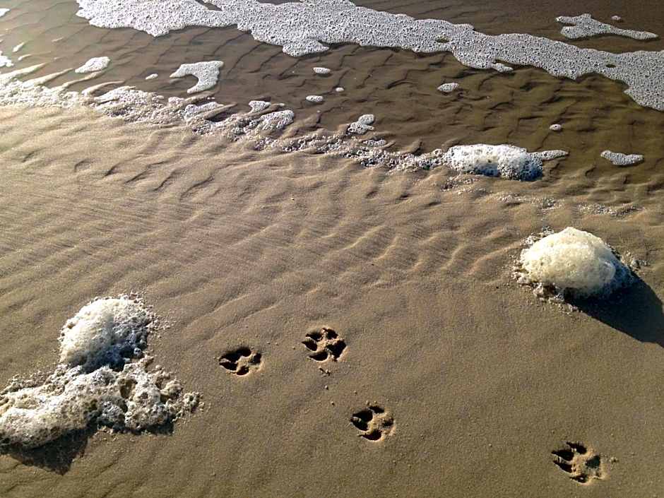 Michels Inselhotel Vier Jahreszeiten