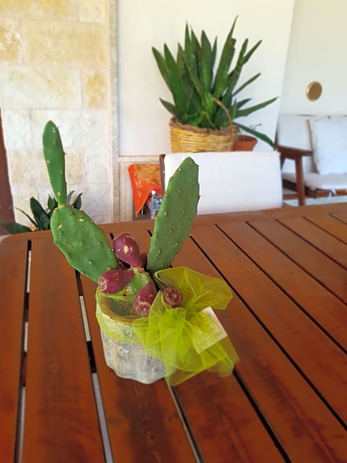 Villa Venus Woods – Martina Franca, OK