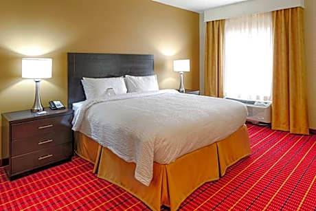 King Studio Suite with Sofa Bed - Hearing Accessible