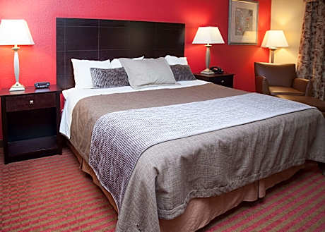 1 King Bed Nonsmoking Accessible