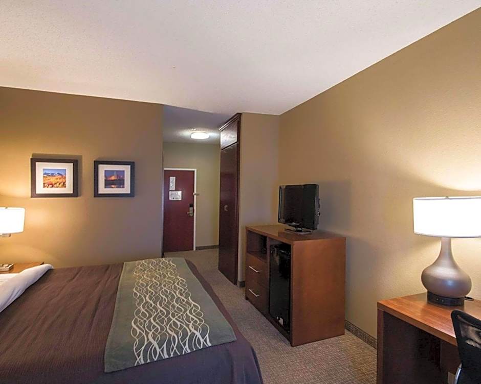 Comfort Inn & Suites Red Oak - Dallas Area