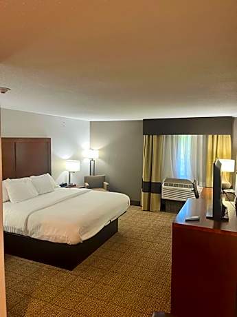1 King Bed, Suite, Nonsmoking, Accessible