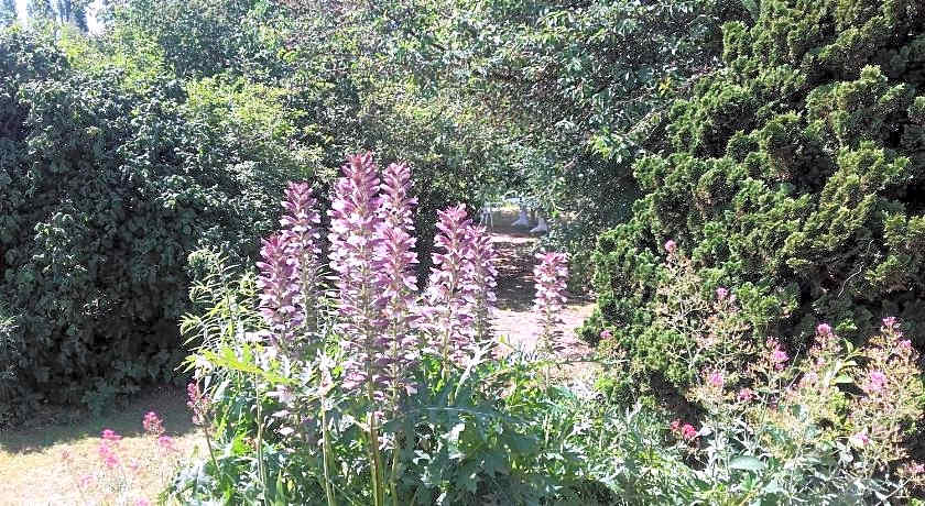 Chambres du Jardin Fleuri