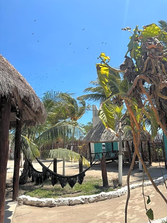 Mayan Mittoz