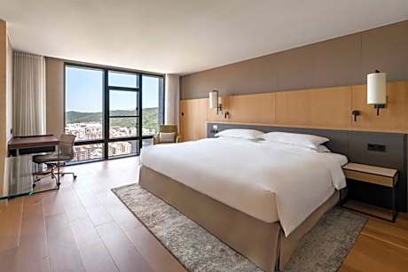 Sky Brilliant Suite with Living Room and Lounge Access