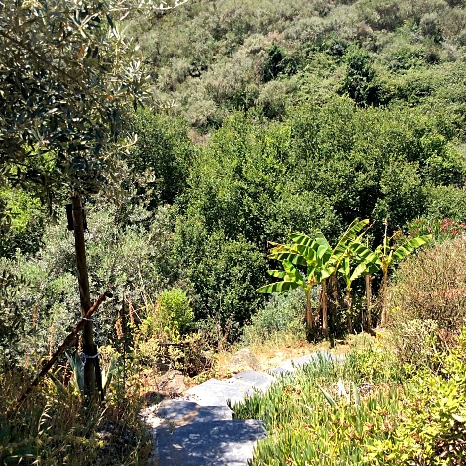 Guest Room Agro-turismo Quinta da Fonte Bed&Breakfast