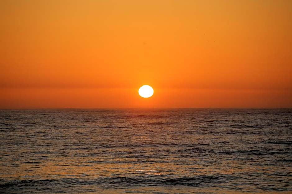 Pineapple Surf House