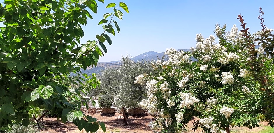 Sanabl Druze Hospitality