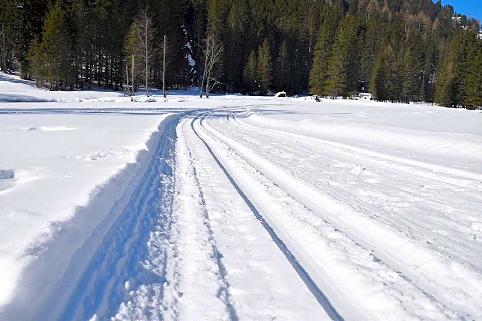 Almchalet Pöllatal