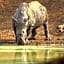 Sable Creek Safari Lodge