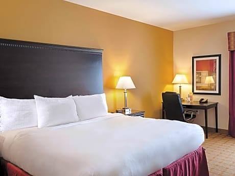 1 King Bed Non-Smoking