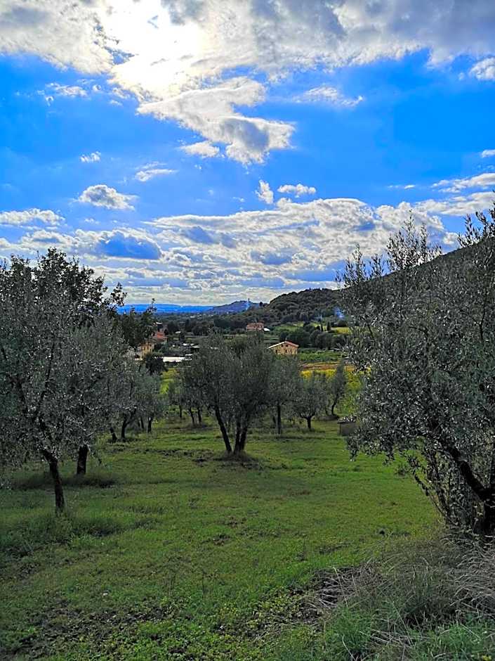 Alba Morus Bed & Breakfast sentiti a casa nel cuo