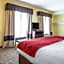 Comfort Suites Rock Hill Manchester Meadows Area