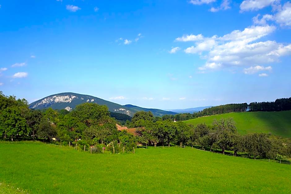 Frühstückspension Gasthof Gesslbauer