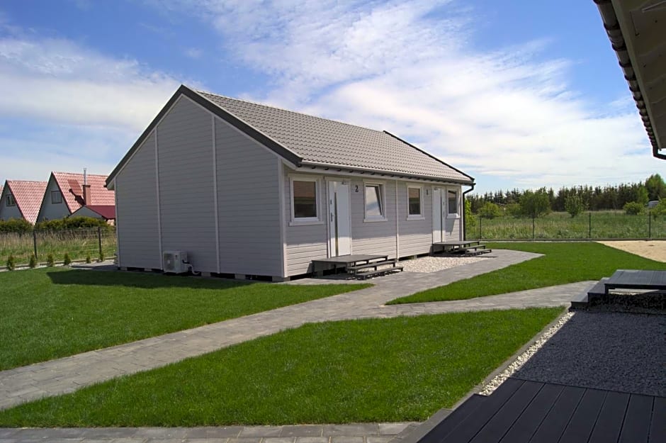 Szara Gąska w Gąskach