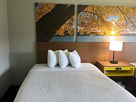 Queen Room with Bath Tub - Mobility Accessible/Non-Smoking