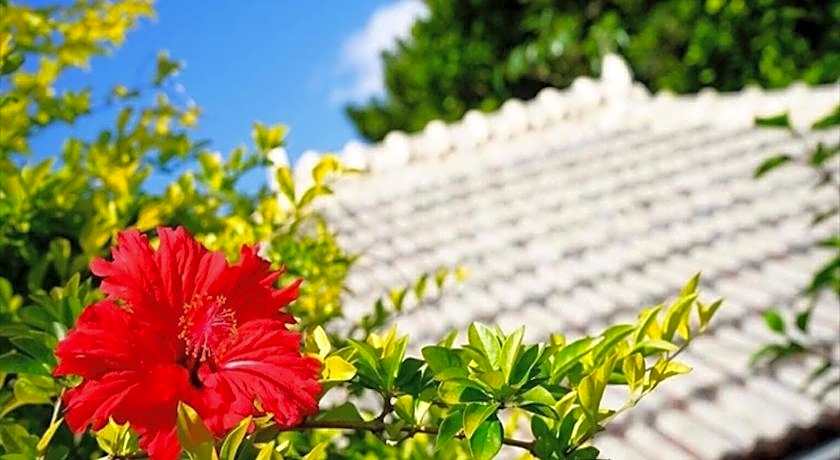 Ishigaki Guesthouse HIVE