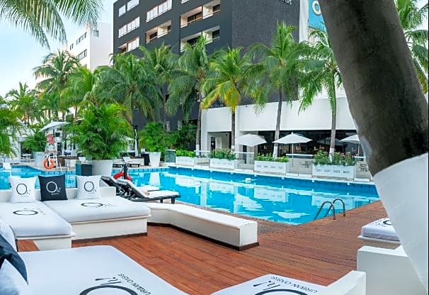 Oh! The Urban Oasis - Adults only