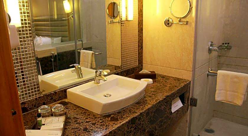 Opulent By Udman Chattarpur