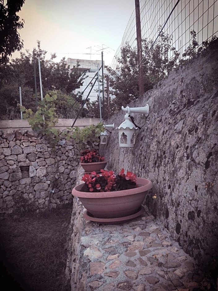 B&B L'Antico Ortale – Carovigno, AR