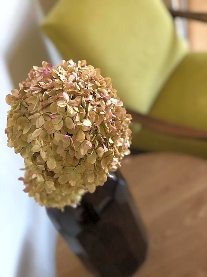 Boutique REZIDENCE BAAR