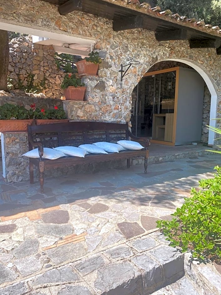 Maison Du Reve Scario