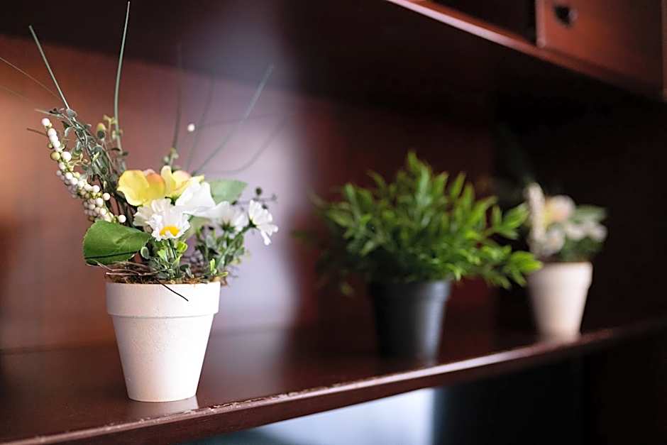 Hotel Königshof The Arthouse