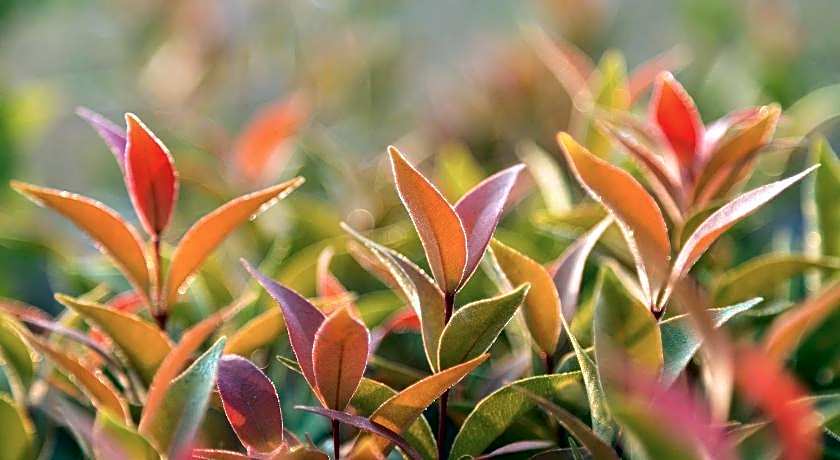 KYP Hotel (โรงแรมขุนยูวเพลส)