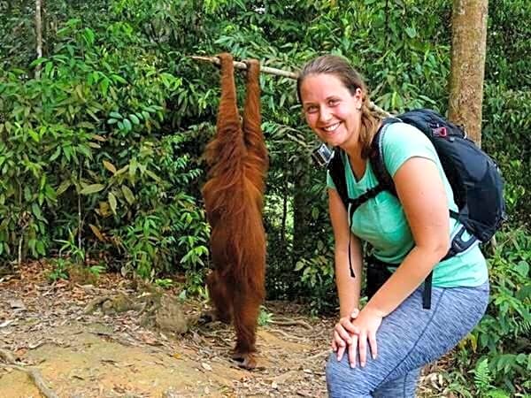 ORANGUTANTREKSUMATRA & LOVELY JUNGLE LODGE only book IF you are treking with us