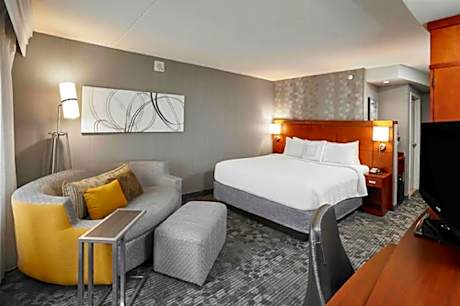Room, 1 King Bed with Sofa bed (1 King Bed and 1 Twin Sofa Bed)