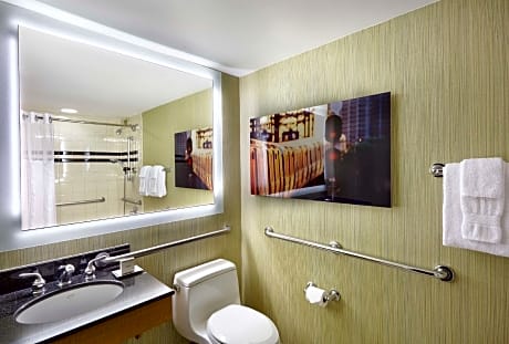 2 Double Accessible Roll in Shower