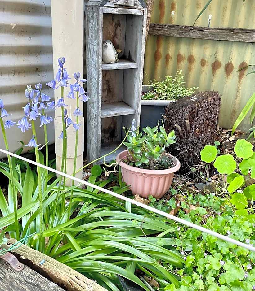 Rosehaven on Rosebud