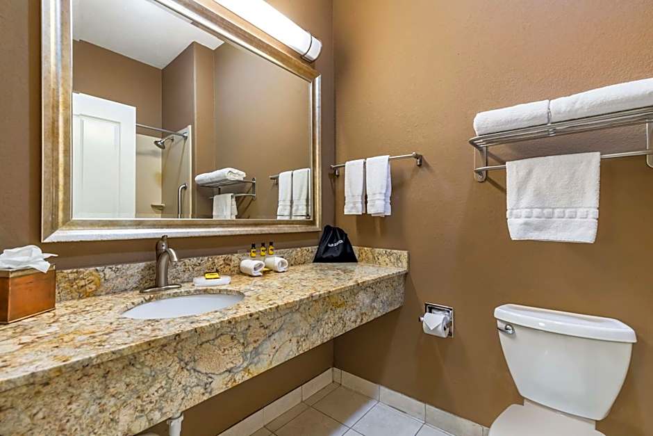 Best Western Plus Lytle Inn And Suites