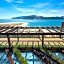 Aqualuz Troia Mar & Rio Hotel by The Editory