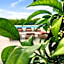 Enjoy Hotel