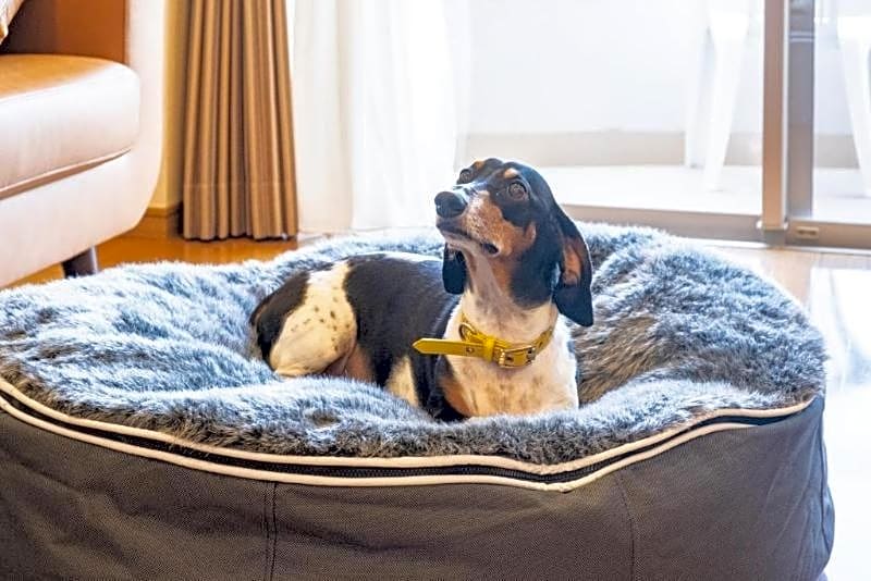 Wyndham Garden Nagaizumi