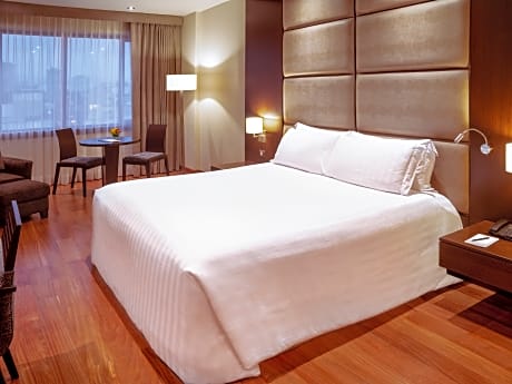 Superior room with 1 king size bed