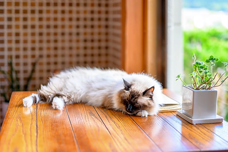 Yufuin Waraneko no Yado