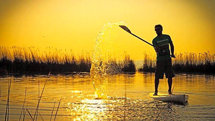 Seewirt & Haus Attila